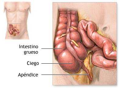 apendice