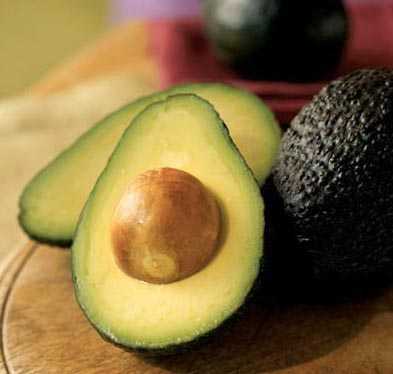 avocado-x