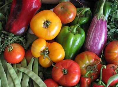 vegetales organicos vegetales organicos