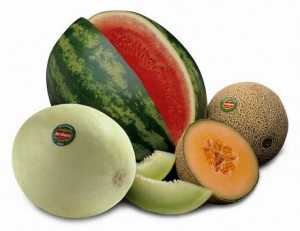 melones-y-sandias-300x231