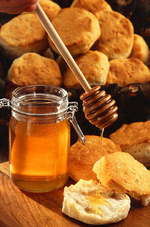 miel-abeja miel-abeja